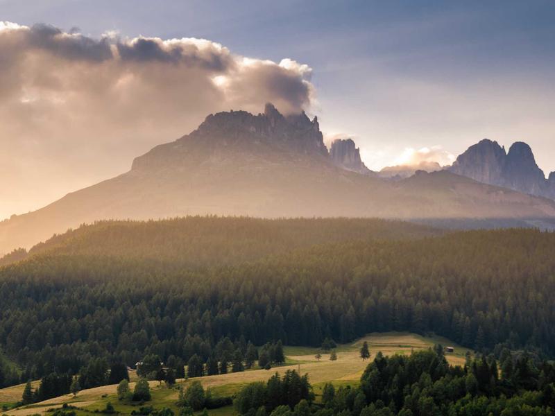 Ứng dụng tài khoản Zalo